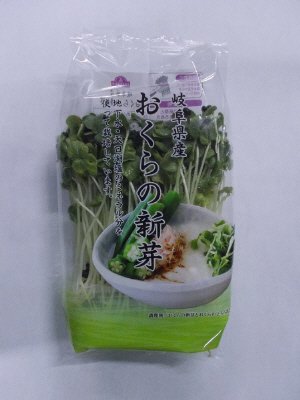 おくらの新芽