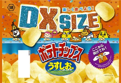 DXサイズ　ポテトチップス　うすしお味