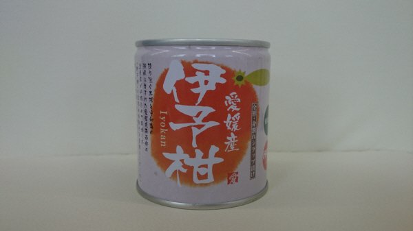 愛媛県産伊予柑５号缶缶詰