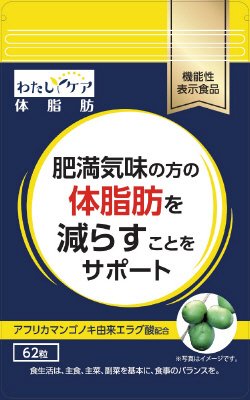 わたしケア体脂肪