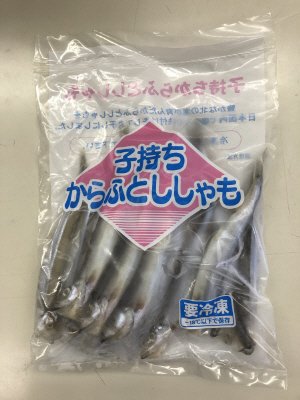 子持ちからふとししゃも