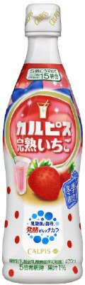 「カルピス」完熟いちごプラスチックボトル４７０ｍｌ