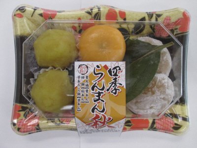 四季らんまん秋
