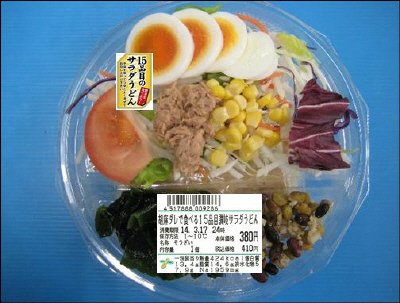 胡麻ダレで食べる１５品目讃岐サラダうどん