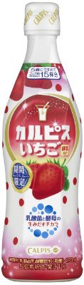 「カルピス」いちご