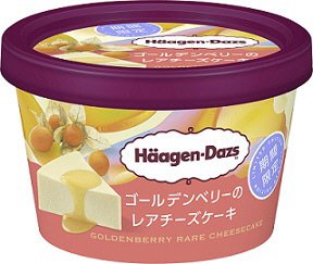 ミニカップ　ゴールデンベリーのレアチーズケーキ