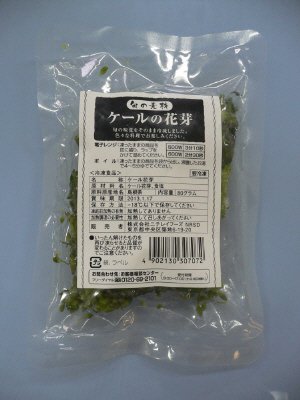 旬の素材　ケールの花芽