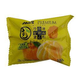 PREMIUMむかん