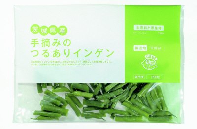 茨城県産手摘みのつるありインゲン