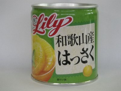 和歌山産　はっさく