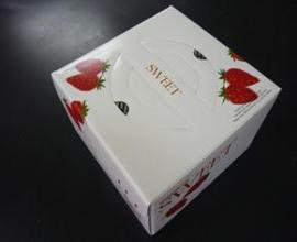 Ｎ１５米粉のケーキ