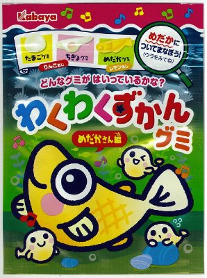 わくわくずかんグミ　めだかさん編