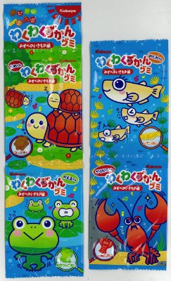 わくわくずかんグミ　みずべのいきもの編