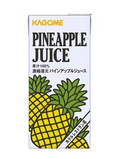 ホテルレストラン用　パインアップルジュース