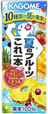 夏のフルーツこれ一本