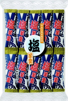 和楽の里　塩羊羹１０本入り