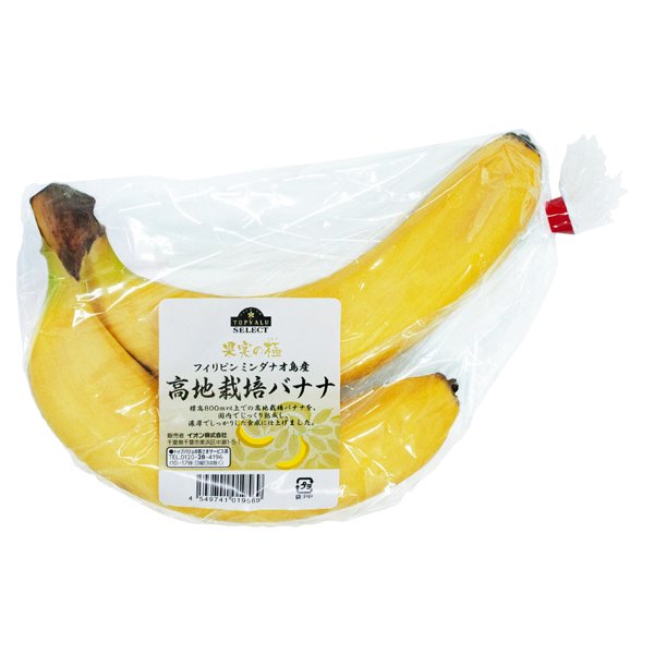 果実の極 フィリピンミンダナオ島産 高地栽培バナナ