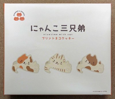 にゃんこ三兄弟