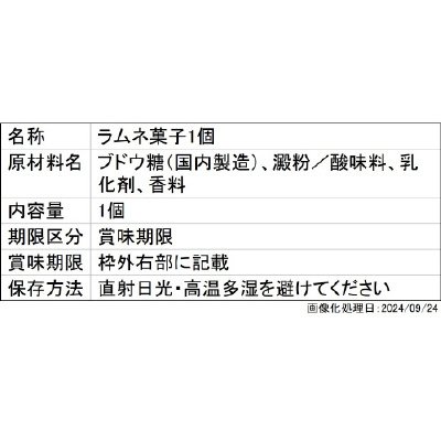 ＳＧライダーゴチゾウ０１
