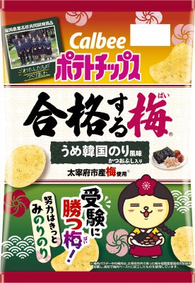 ポテトチップス合格する梅うめ韓国のり風味