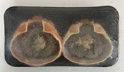 かにみそ甲ら焼き