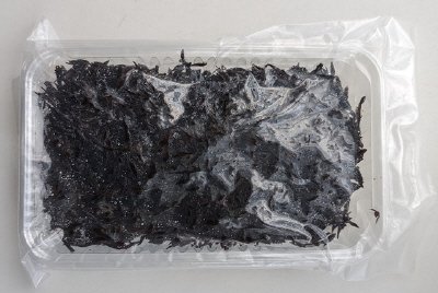 瀬戸内海でとれた釜揚げひじき