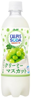 カルピスソーダ（Ｒ）　クリーミーマスカット　ＰＥＴ５００ｍｌ