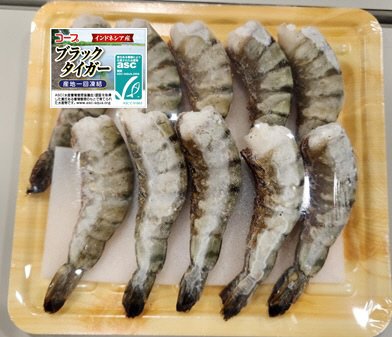 ＡＳＣ　ブラックタイガー（養殖）１０尾