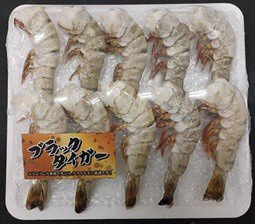 ブラックタイガー１６／２０　１０尾