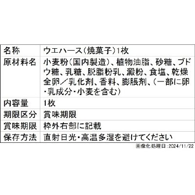 にふぉるめーしょん　ヱヴァンゲリヲン新劇場版　シールウエハース補完計画