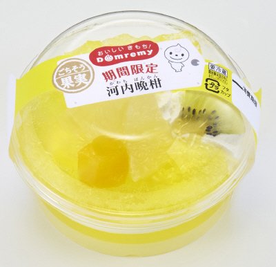 ごちそう果実　河内晩柑
