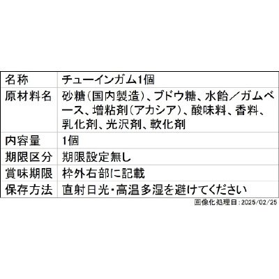 ロリポップチョコチャーム　ちいかわ（再販）