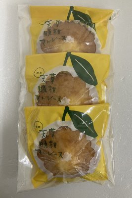 天草晩柑マドレーヌ