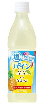 なっちゃん　塩パイン（冷凍兼用）　ペット