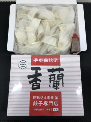 生餃子（冷凍）
