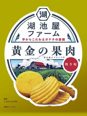 湖池屋ファーム黄金の果肉焼き塩