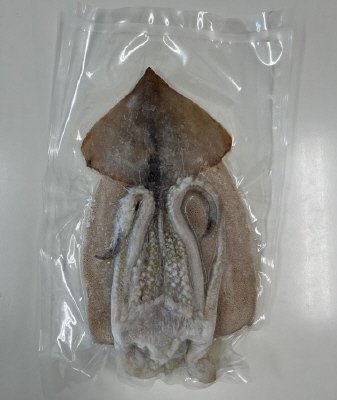 するめいか一夜干し