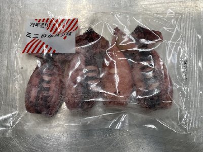ミニいかぽっぽ