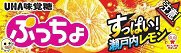 ぷっちょスティック　すっぱい瀬戸内レモン