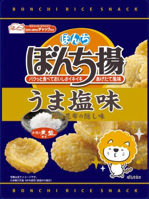 ぼんち揚うま塩味チャック付