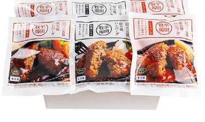 平田牧場三元豚炭火焼ハンバーグ６個セットBCS251
