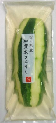 石川県産加賀太きゅうり