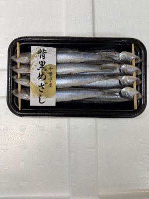 背黒目刺