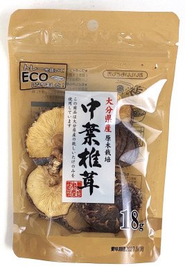 大分産中葉椎茸