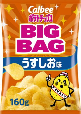 ポテトチップスＢＩＧＢＡＧうすしお味