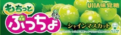 ぷっちょスティック　もちっとシャインマスカット