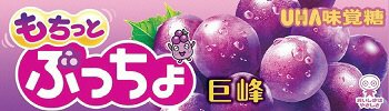 ぷっちょスティック　もちっと巨峰