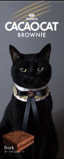 ＣＡＣＡＯＣＡＴ　ＢＲＯＷＮＩＥ　ダーク　入