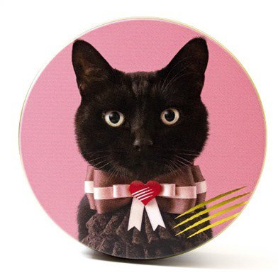 Ｉ　ｌｏｖｅ　CACAOCAT缶　５個入