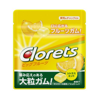 クロレッツ　ビッグフルーツ　シトラスミント　ミニパウチ